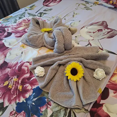 Sandra Apartamento